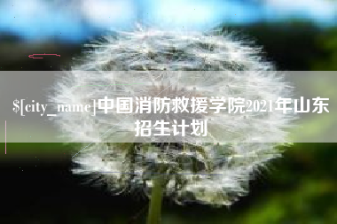 昌都中国消防救援学院2021年山东招生计划