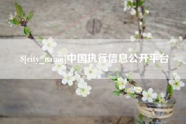 昌都中国执行信息公开平台
