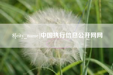 昌都中国执行信息公开网网