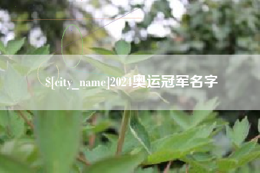 昌都2024奥运冠军名字
