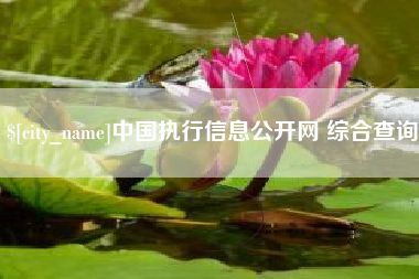 昌都中国执行信息公开网 综合查询