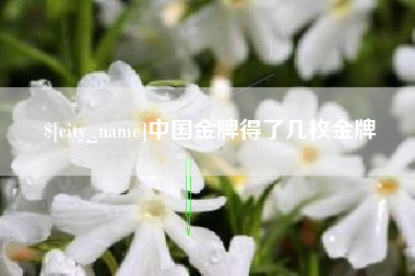 昌都中国金牌得了几枚金牌