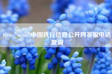 昌都中国执行信息公开网客服电话查询