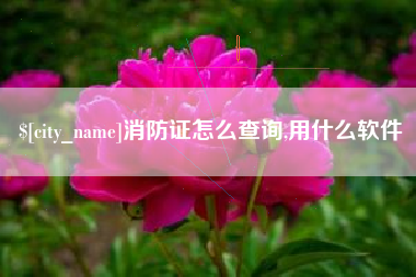昌都消防证怎么查询,用什么软件
