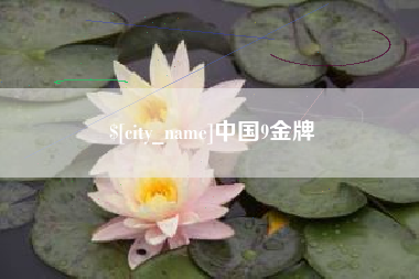昌都中国9金牌