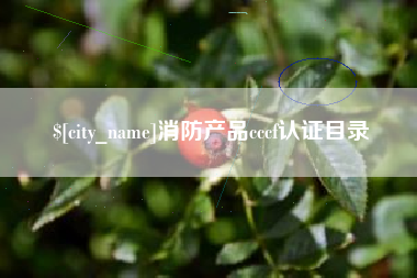 昌都消防产品cccf认证目录