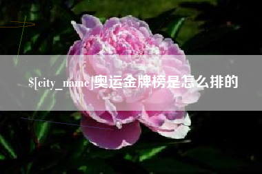 昌都奥运金牌榜是怎么排的
