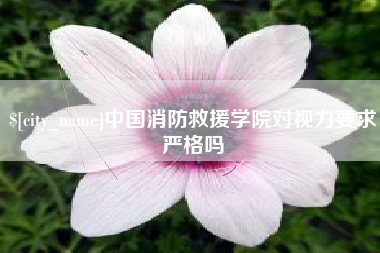 昌都中国消防救援学院对视力要求严格吗