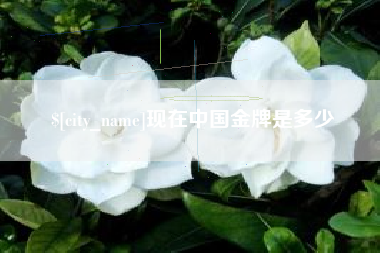 昌都现在中国金牌是多少