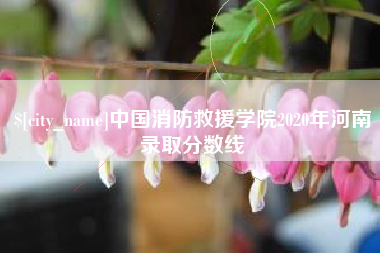 昌都中国消防救援学院2020年河南录取分数线
