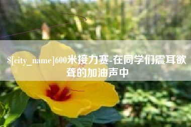 昌都600米接力赛-在同学们震耳欲聋的加油声中