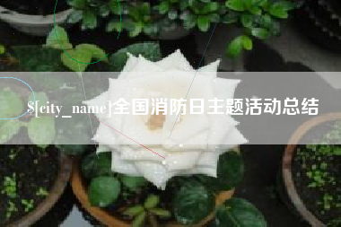 昌都全国消防日主题活动总结