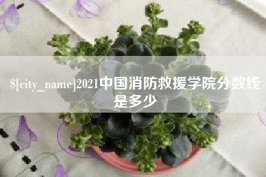 昌都2021中国消防救援学院分数线是多少
