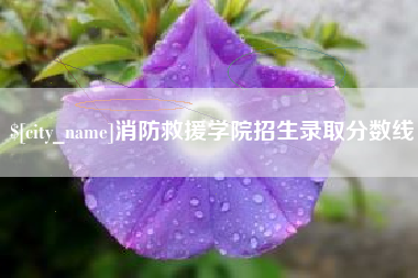 昌都消防救援学院招生录取分数线