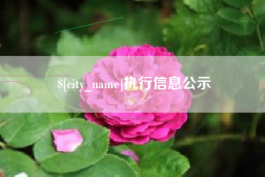 昌都执行信息公示