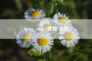 昌都成都 消防
