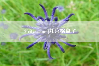 昌都九宫格盘子