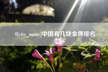 昌都中国有几块金牌排名
