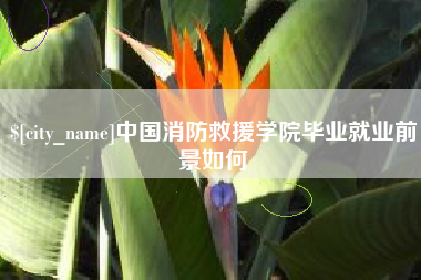 昌都中国消防救援学院毕业就业前景如何