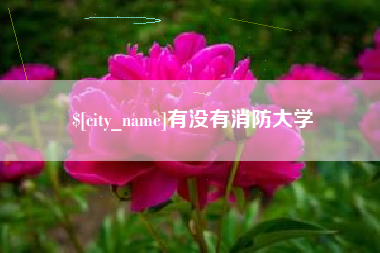昌都有没有消防大学