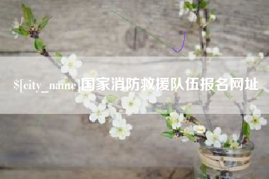 昌都国家消防救援队伍报名网址
