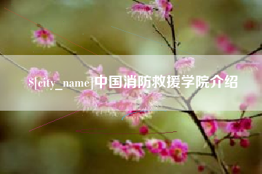 昌都中国消防救援学院介绍