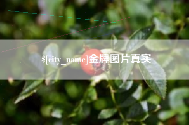 昌都金牌图片真实