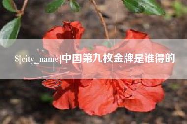 昌都中国第九枚金牌是谁得的