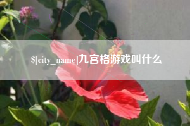 昌都九宫格游戏叫什么