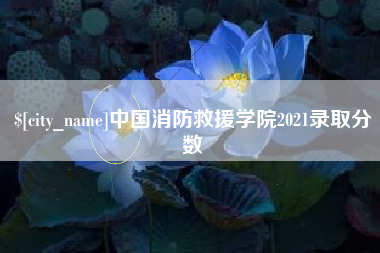 昌都中国消防救援学院2021录取分数