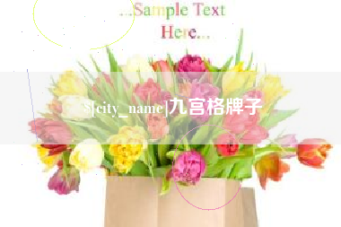 昌都九宫格牌子