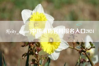 昌都中国消防官网报名入口2024
