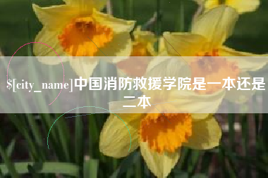 昌都中国消防救援学院是一本还是二本