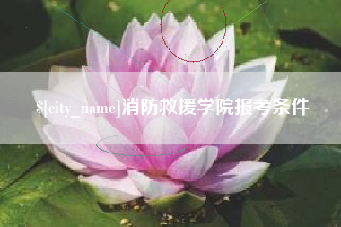 昌都消防救援学院报考条件
