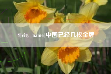 昌都中国已经几枚金牌