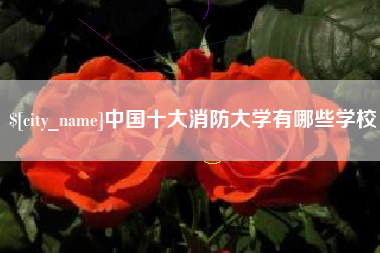 昌都中国十大消防大学有哪些学校