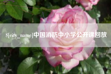 昌都中国消防中小学公开课回放