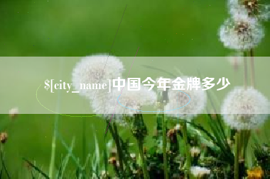 昌都中国今年金牌多少