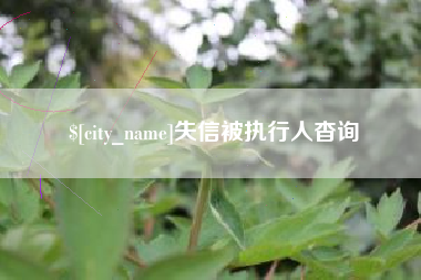 昌都失信被执行人杳询