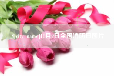 昌都11月9日全国消防日图片