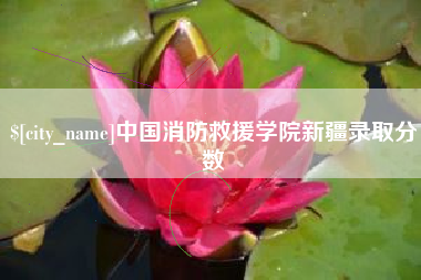 昌都中国消防救援学院新疆录取分数
