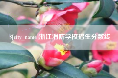 昌都浙江消防学校招生分数线