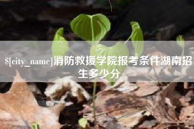 昌都消防救援学院报考条件湖南招生多少分