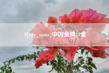 昌都中国金牌18金