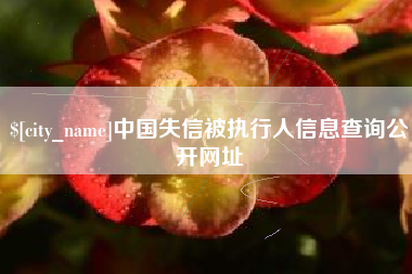 昌都中国失信被执行人信息查询公开网址