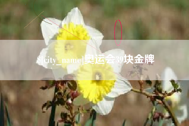 昌都奥运会39块金牌