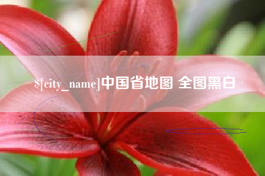 昌都中国省地图 全图黑白