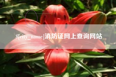 昌都消防证网上查询网站