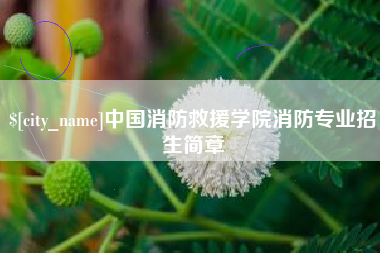 昌都中国消防救援学院消防专业招生简章