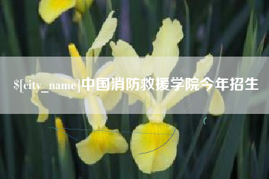 昌都中国消防救援学院今年招生